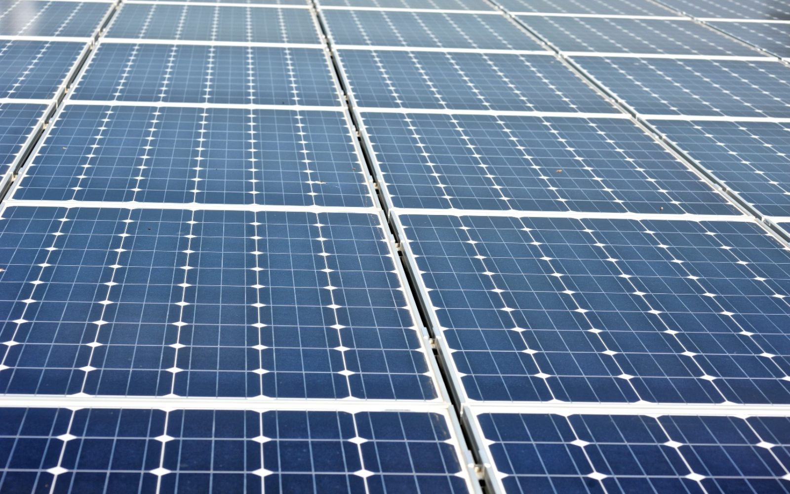 Generic_-_Canadian_Solar_PV_panels_-_SunGift.jpg